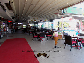 Ceren Family Suit