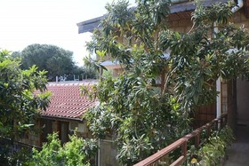 Hellen Hotel Side