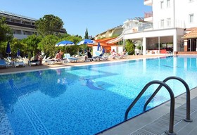 Catty Cats Garden Hotel