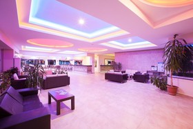 Catty Cats Garden Hotel