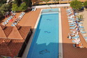 Catty Cats Garden Hotel