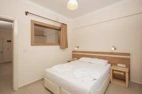 Catty Cats Garden Hotel