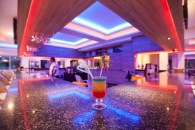 Catty Cats Garden Hotel