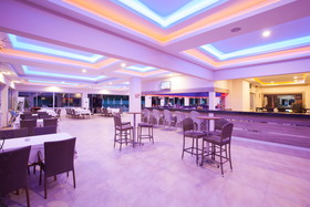 Catty Cats Garden Hotel
