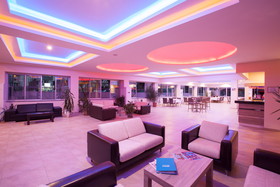 Catty Cats Garden Hotel