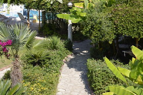 Lale Park