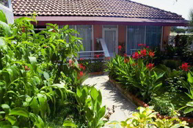 Mediterranean Garden