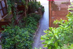 Sato