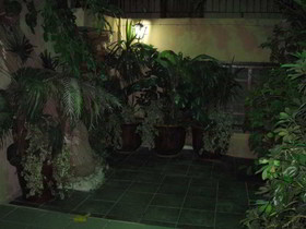 Sato