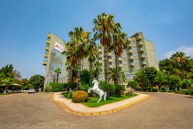 Armas Kaplan Paradise