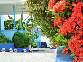 Miller's Guest House