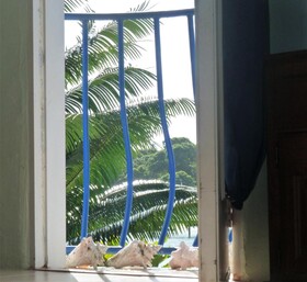 Miller's Guest House