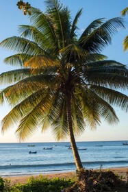 Castara Retreats