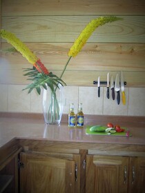 Castara Retreats