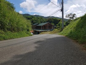 Cottage Mango
