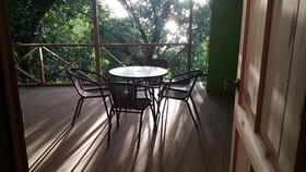 Cottage Mango