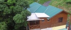 Cottage Mango