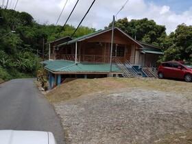 Cottage Mango