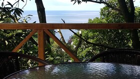 Cottage Mango