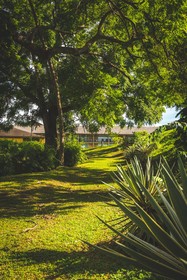 Mount Irvine Bay Resort