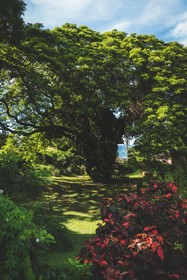 Mount Irvine Bay Resort