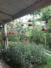 Adventure Eco Villas Tobago