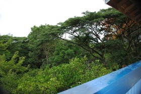 Adventure Eco Villas Tobago