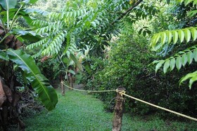 Adventure Eco Villas Tobago