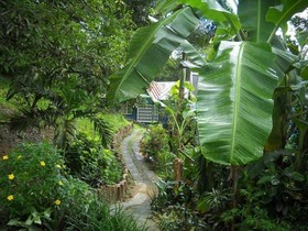 Adventure Eco Villas Tobago
