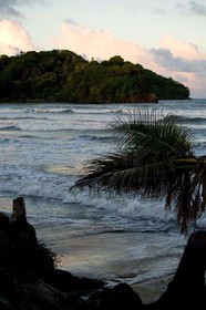 D'Coconut Cove Holiday Beach Resort Limited