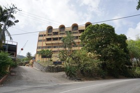 Ambassador