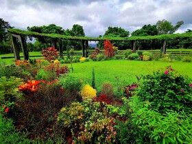 Dan Dan Bed and Breakfast