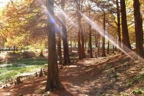 Dan Dan Bed and Breakfast