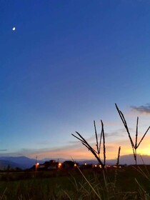 Dan Dan Bed and Breakfast