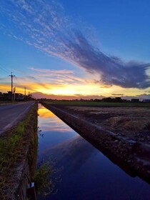 Dan Dan Bed and Breakfast