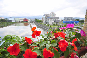 Happy Orange Homestay