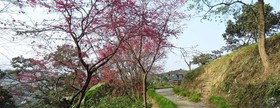 Shangrila Leisure Farm