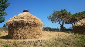 Yilan Real Fun Homestay
