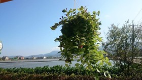 Yilan Real Fun Homestay