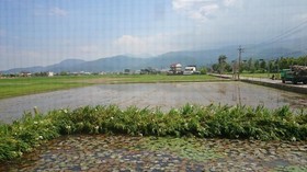 Yilan Real Fun Homestay