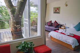 Sun Sweet House