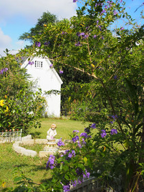 Prado Country Life