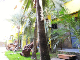 Blue Owl Homestay