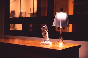 Boy Apartment