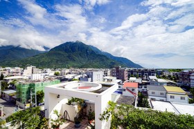 Hualien Pine