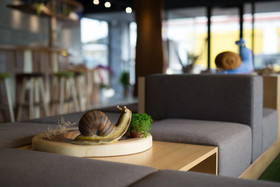Meci Hotel