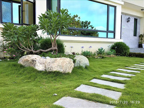 1969 Meters Square Seed B&B