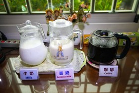 Evergreen Garden Home