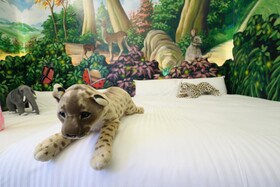 Hua Yang Child Like Family Guesthouse