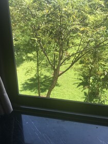 Stock Market B&B